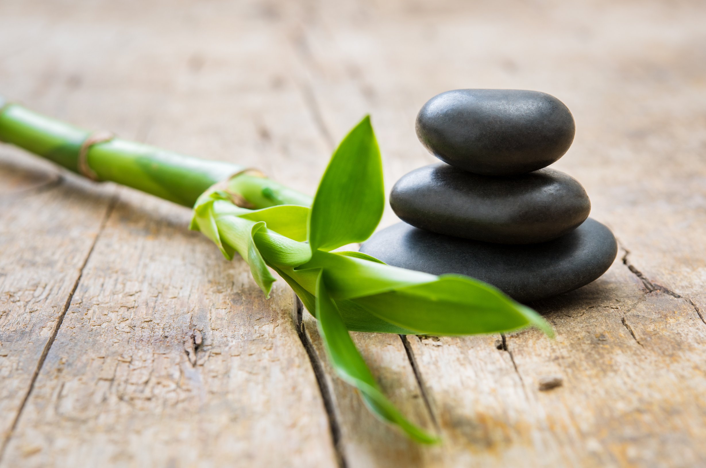 Hot Stone with Bamboo